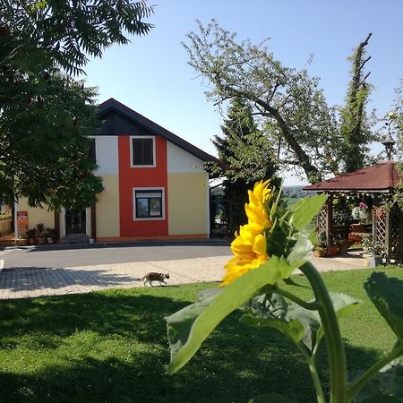 Gastehaus Dobida Hotel Unterlamm  Luaran gambar