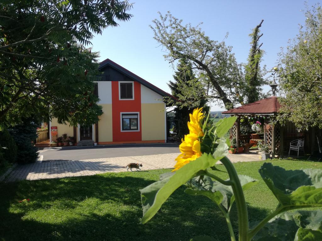 Gastehaus Dobida Hotel Unterlamm  Luaran gambar